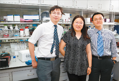 中国科学家率先破解光合作用超级复合物结构之谜