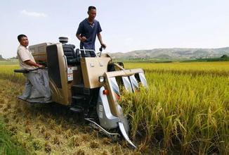 新型农机战“三夏”