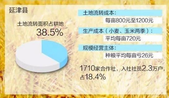 中国农村:80后不会种地90后不提种地