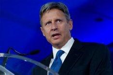 美国自由党再提名约翰逊为党总统候选人