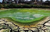 国土部“土十条”：重度污染耕地禁种食用农产品