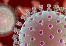 韩国首次在男性精液中检测出活性寨卡病毒