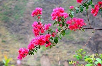 口述：老公有个风骚前任我怕输给她