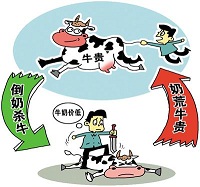 产业升级才能解决倒奶杀牛困局