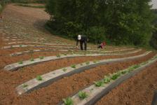 多渠道助力 陕西省政协佛坪扶贫工作小记