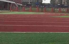 全国多校被曝毒跑道 专家:“达标”或非国家标准