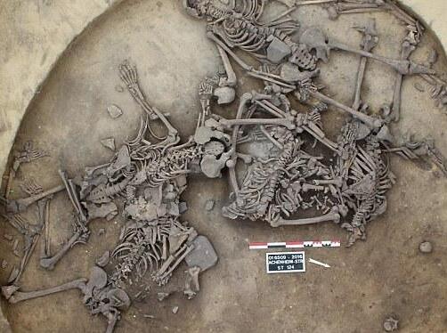 法国发现6000年前墓坑 揭秘新石器时期大屠杀历史