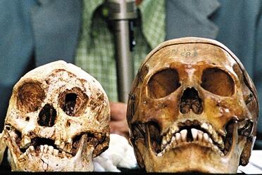 科学家发现古人类化石 比&ldquo;霍比特人&rdquo;还矮小？