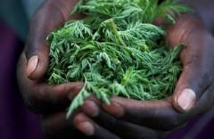 中国医药销售增长继续超欧美