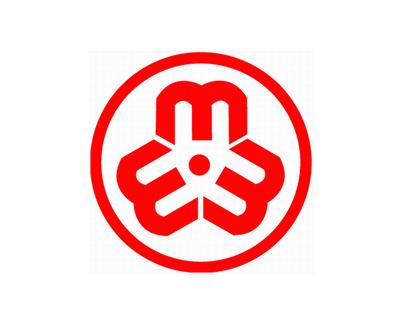 青海大通县法院法官当选妇联副主席