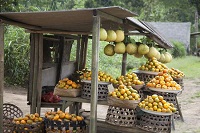 果蜡食用蜡本身无害 如何区分工业蜡？