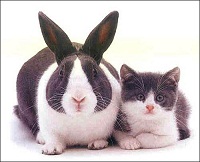 夫妻相的形成大有学问