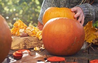 南瓜三种吃法胜过补品