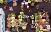 不可思议的酸爽！感受马尼拉的独特风味