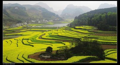 告别野蛮生长，乡村游亟待树立品牌