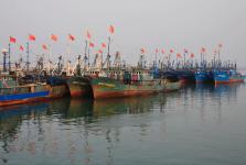 长江水生生物资源遭酷捕滥捞锐减 将全面休渔