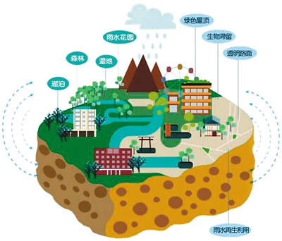 暴雨“大考”，海绵城市静悄悄