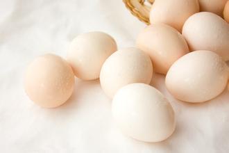 土鸡蛋来历不明?可能是垃圾蛋!