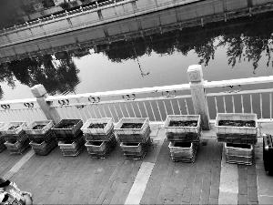 北京&ldquo;放生团体&rdquo;向路人卖鱼 泥鳅一条80元