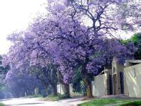 重庆打通关节 与欧美澳亚相连