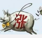 “小猪”坐上“过山车” 物价会否跟着“抖”