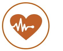 祛暑解毒 试试鱼腥草绿豆猪肚汤