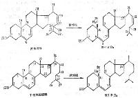 关于胆固醇的六个真相
