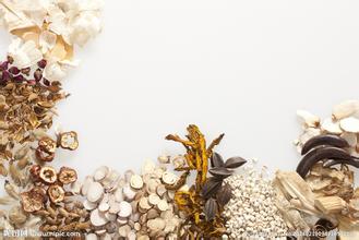 《中国民族药辞典》出版发行