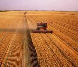 我国夏粮再获丰收的背后