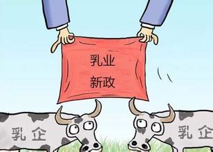 史上最严 乳业新政倒计时 陕西省150余羊乳品牌将消失