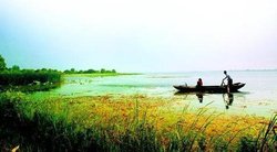 梁子湖明日破垸分洪 永久性退垸还湖