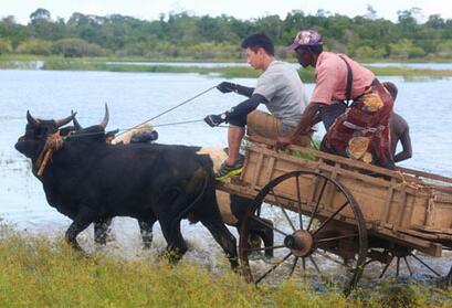 吴奇隆录制节目坠牛车 情况不明疑旧伤复发