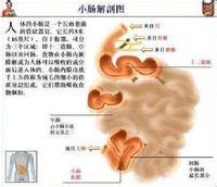 &ldquo;逆夏&rdquo;生活伤小肠