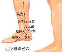 脾胃强，好度夏