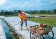 广东省清远市乡村治理力量下沉改革综述