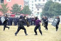 凌晨撬窗盗粮 刑警寻迹捕鼠——陕西城固警方成功破获系列盗窃粮食案