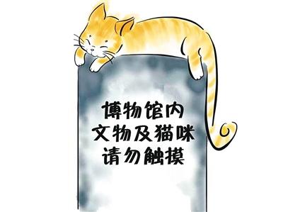 博物馆网红猫伤人将要被驱逐 网友呼吁“请留下”