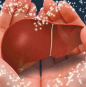 2015国内肝炎用药市场超400亿元