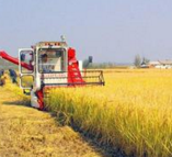 高青县农机家族再添“新丁”