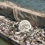 31日起高温转战北方 内蒙新疆局地可达41度