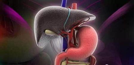 六类人群易发脂肪肝 应定期体检