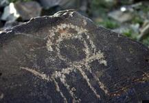 内蒙古新发现上千幅阴山岩画 内容以动物为主