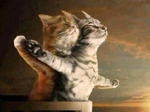 不要怕被“虐汪”，已婚比单身更幸福只是传说？