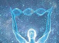 香港男子携5管孕妇血出关被查 或涉走私基因