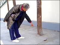 河南商丘“水泥封树根”?真想得出来！