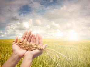 青海海北州重点扶贫项目扎实推进
