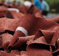 多地出台塑胶跑道新标准 有要求“啃咬也保证安全”