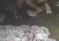 “饲料油”加工厂变卖“淋巴肉” 惊人内幕大揭秘
