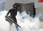 新加坡寨卡病例过百一孕妇确诊 多国发旅行警告