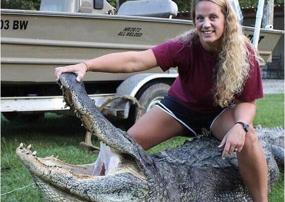 太彪悍！美国女子抓到600多斤鳄鱼